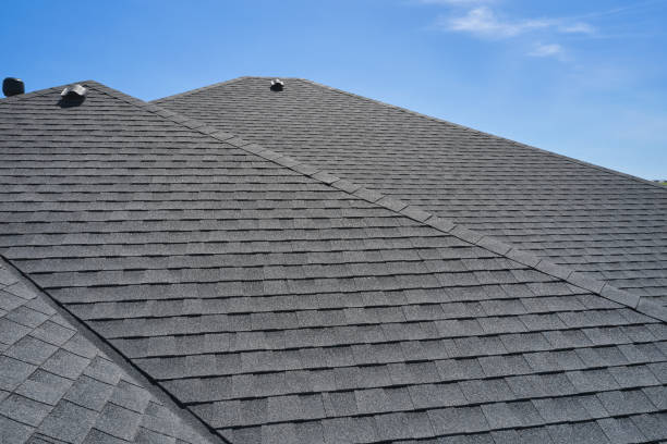Best Rubber Roofing (EPDM, TPO)  in Roanoke Rapids, NC