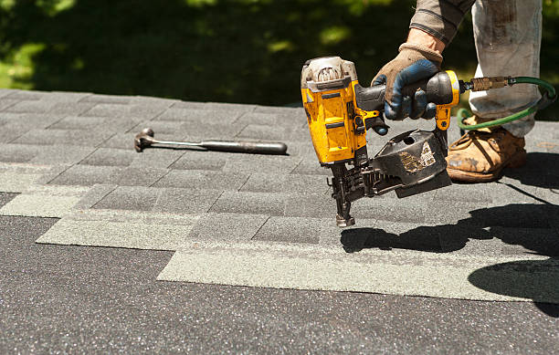 Best Gutter Installation and Repair  in Roanoke Rapids, NC