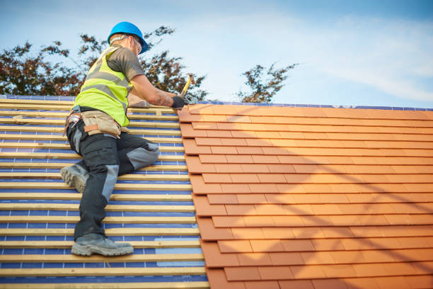 Best Gutter Installation and Repair  in Roanoke Rapids, NC